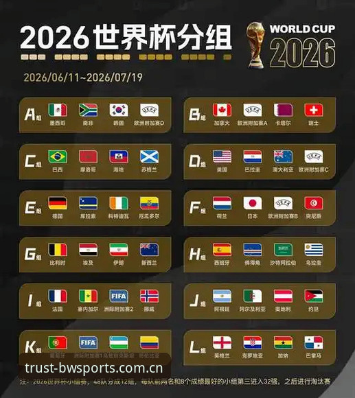 2026世界杯观赛体验全面评测：签证危机下的球迷困境与平台选择